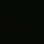 Profile picture of Shirley Yunda