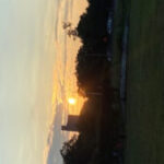 Photo of Suhar Al Qarai