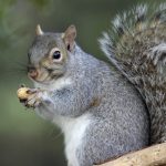 Photo of Javiera Morales-Reyes