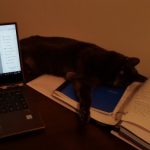 Photo of Mark-Allan Donaldson