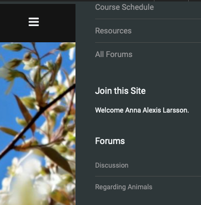 Discussion Forum: Please Read