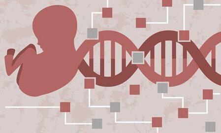 Genetics and Human Extinction