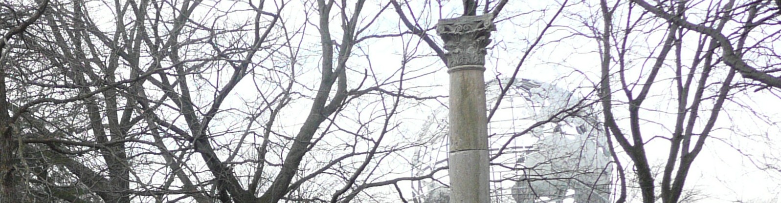 A Column of Jerash in Queens