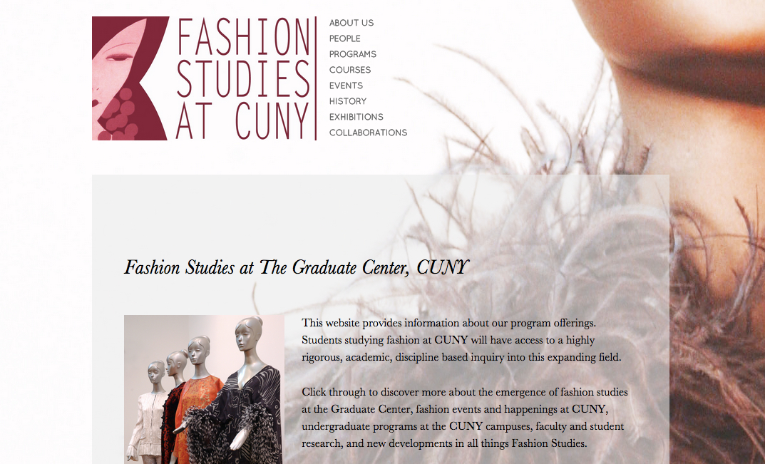 Fashion Studies Website