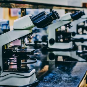 Microscopes on a bench