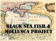 The Black Sea Fish and Mollusca Project
