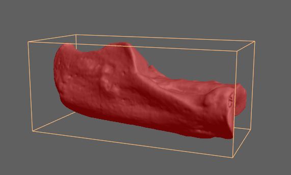 Building a Virtual Museum: Creating an Online Database of 3D Primate Postcranial Models