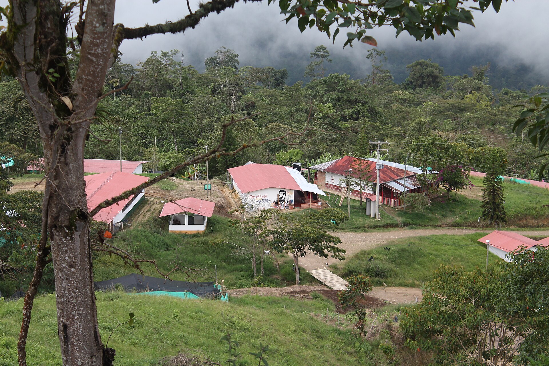 Quantitative Methods of Social Research Summer Program