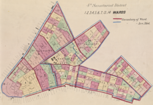Fourth Senatorial District, NY, NY