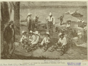 "Zebras" At Work On Blackwell's Island, New York.