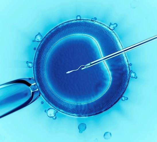 New Perspectives on Freezing Eggs