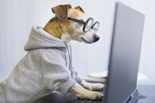 How to Write a Post