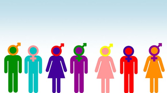 Gender Pay Gaps
