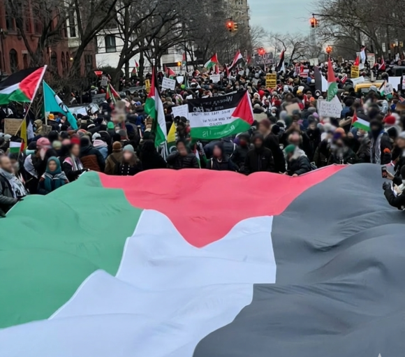 Flag of Palestine and massive protest in NYC
