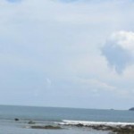 cropped-img_1594.jpg
