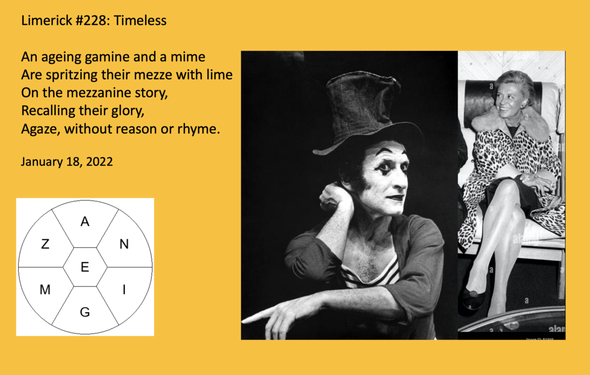 Spelling Bee Limericks