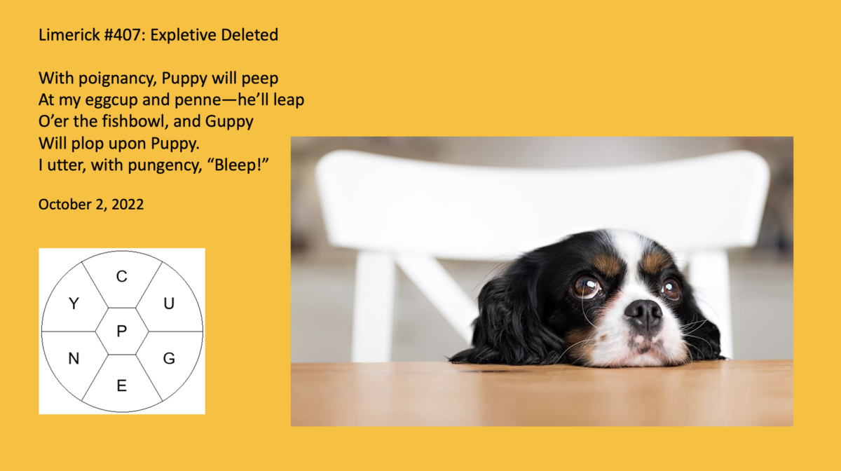 Spelling Bee Limericks