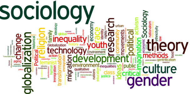 Intro to Sociology SOC 11 SOC 1OO This course studies the social