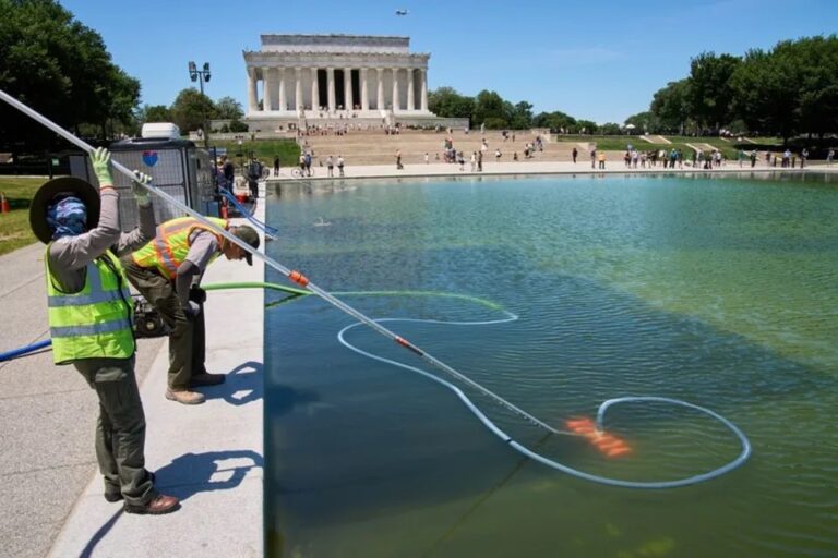 Trump s 14M Reflecting Pool Paint Job Is Now Green And The Blue trump-s-14m-reflecting-pool-paint-job-is-now-green-and-the-blue