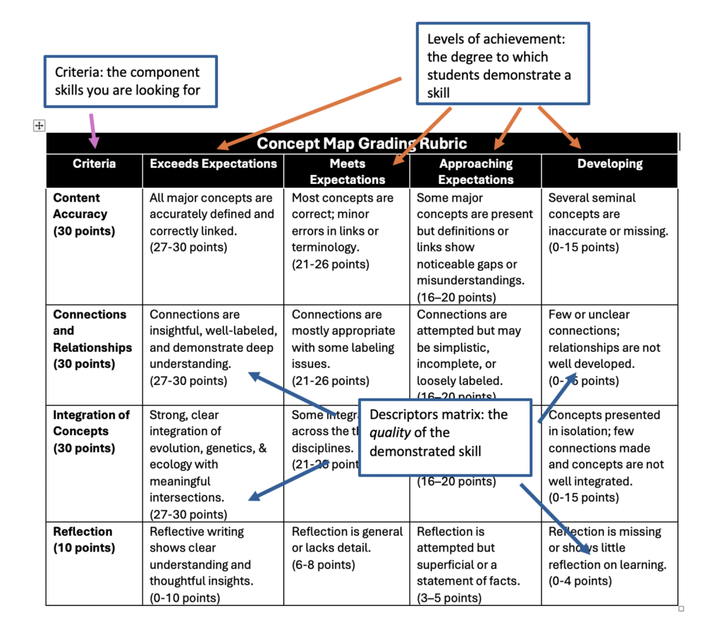 Rubric anatomy image
