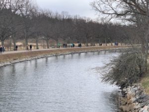 swedish-variation-on-social-distancing-by-susanna-molander-the-public
