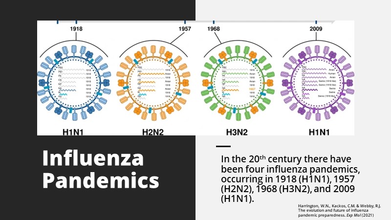 Influenza Pandemics