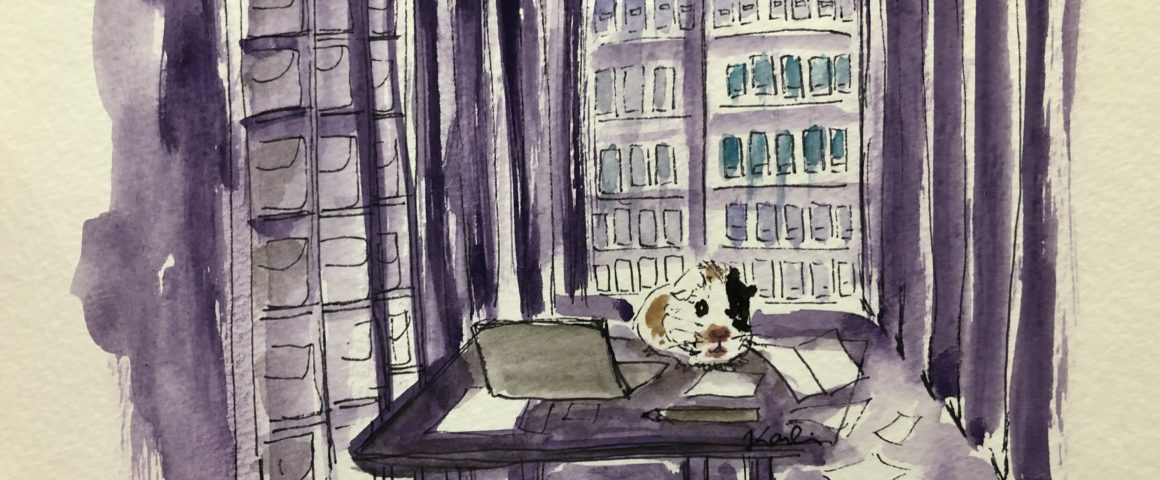 Water-color image of guinea pig conducting archival research.