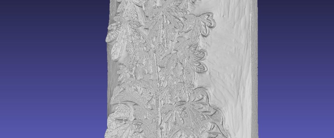 Side angle view of a 3D-scanned leafy plant woodblock.