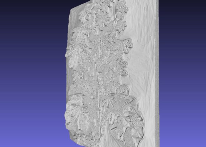 Side angle view of a 3D-scanned leafy plant woodblock.