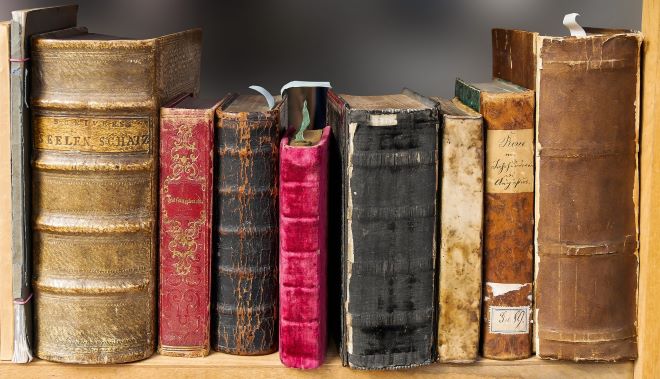Books lined up on a shelf.