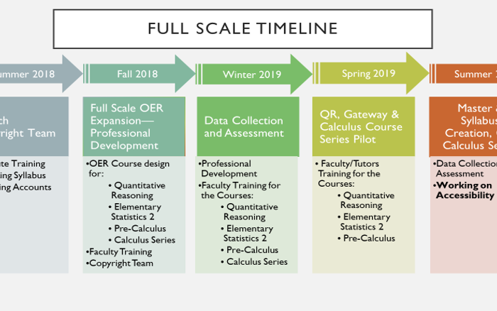 A table describing the project timeline during full scale implementation from summer of 2018 to summer of 2019.