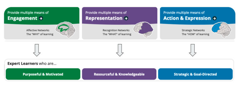 Universal Design for Learning: Pleasure, Accessibility, and the Radical ...