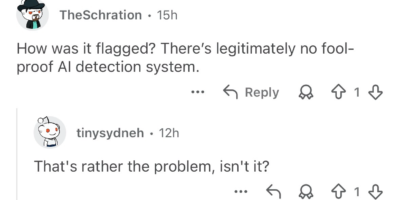 Screenshot of a Reddit comment thread. User TheSchration asks, “How was it flagged? There’s legitimately no fool-proof AI detection system.” User tinysydneh replies, “That’s rather the problem, isn’t it?”