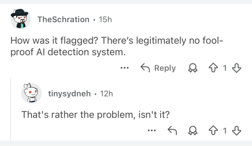 Screenshot of a Reddit comment thread. User TheSchration asks, “How was it flagged? There’s legitimately no fool-proof AI detection system.” User tinysydneh replies, “That’s rather the problem, isn’t it?”