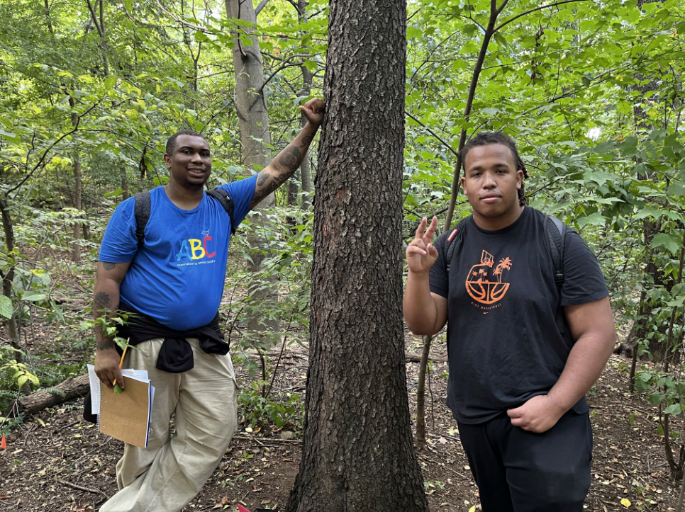 two people with a tree in the middle 