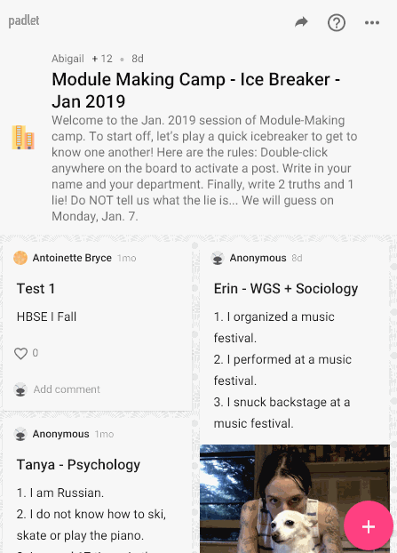 Padlet Embed Help Support