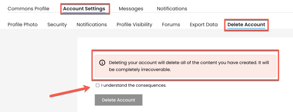 screenshot of the delete account page