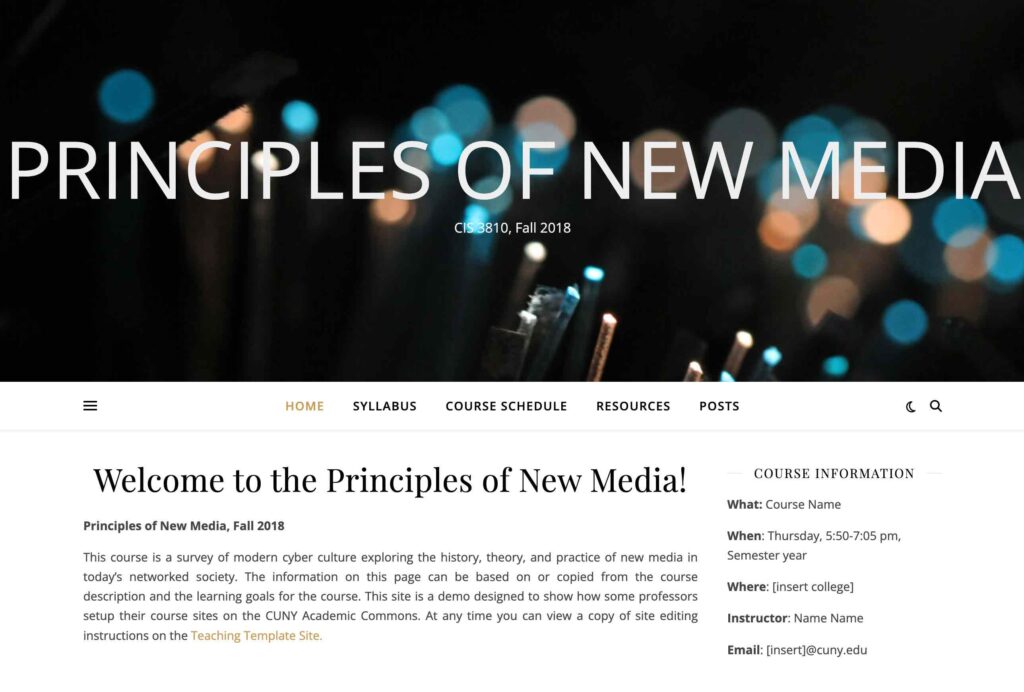 principles of new media