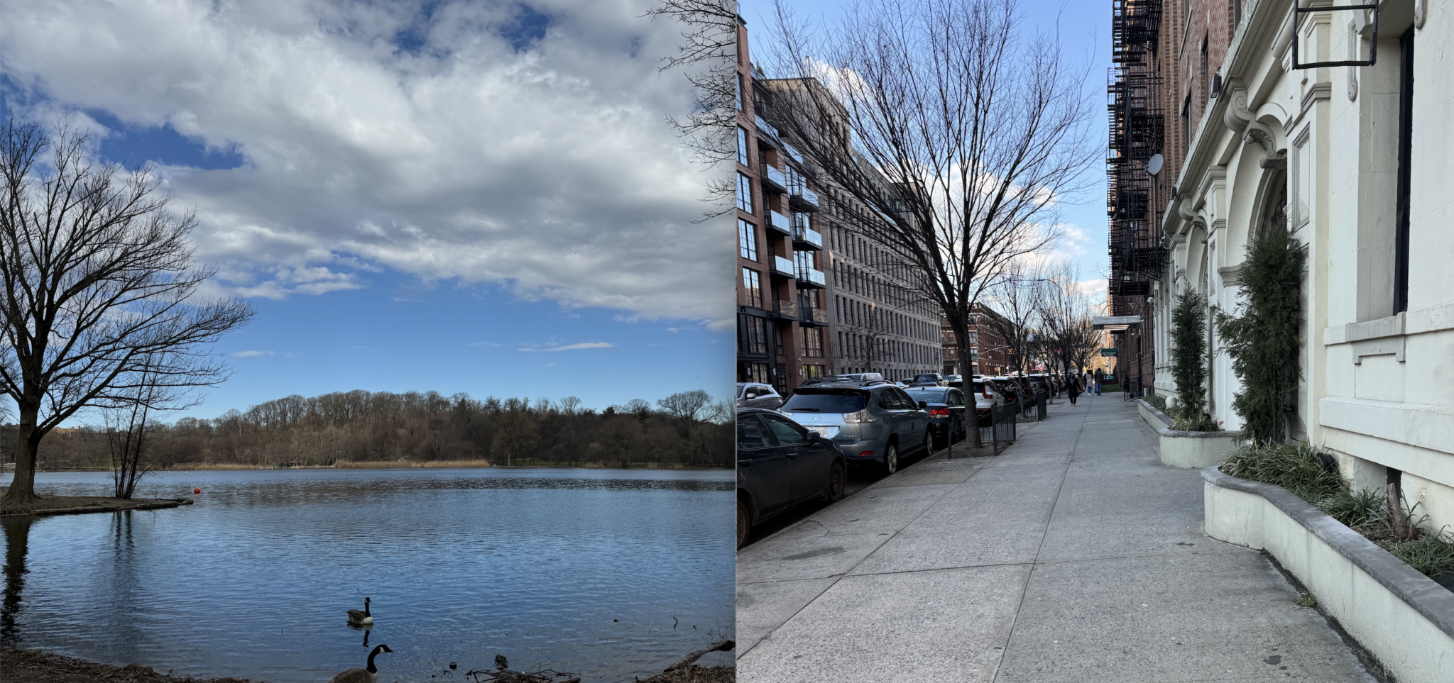 A lake and a city sidewalk