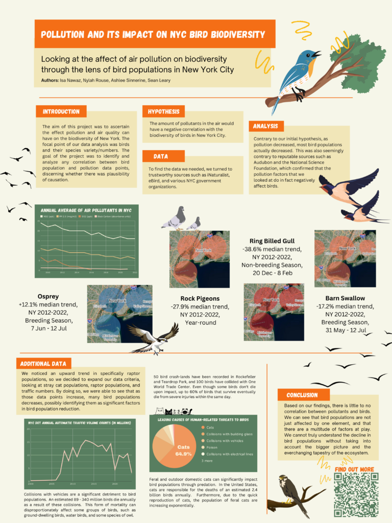 Pollution and Its Impact on NYC Bird Biodiversity – STEAM Fest 2024