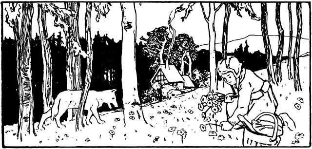 Wood block illustration of a wolf among trees, a cottage in the background and in the foreground a young girl picks flowers.