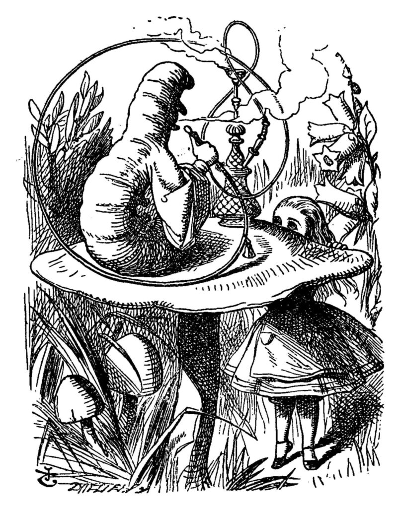 back of a caterpillar smoking a hookah and sitting on a mushroom. Alice on tiptoe looks over the mushroom. Her body is visible below the mushroom. Background of grasses, flowers and mushrooms