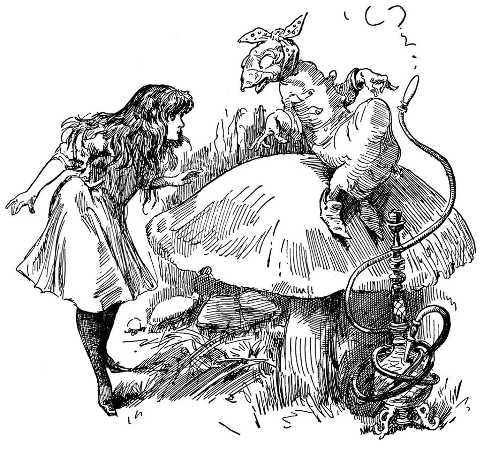 Ink drawing of older teenage alice leaning over a large mushroom on which a long creature with a caterpillar like head, a polka dot bandana, human hands and feet. A hookah sits at the base of the mushroom.