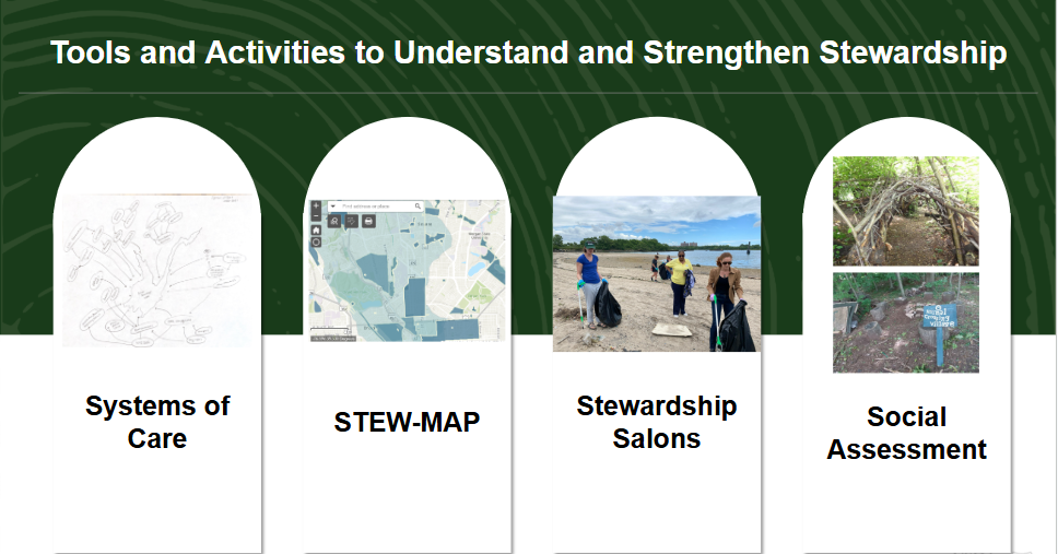 Tools and Activities to Understand and Strengthen Stewardship: Systems of Care, STEW-MAP, Stewardship Salons, and the Social Assessment