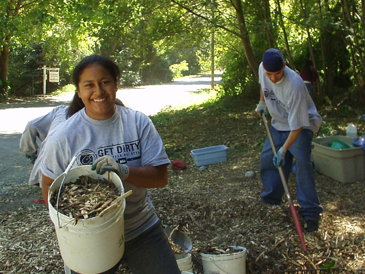 Volunteers mulching new plantings along the Burke-Gilman Trail in NE Seattle.