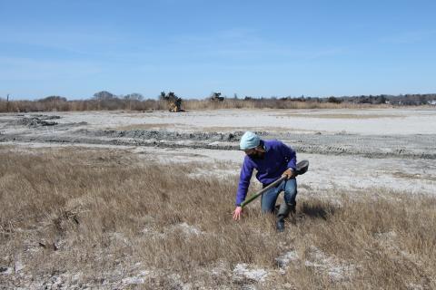 A man works in a coastal grassland.