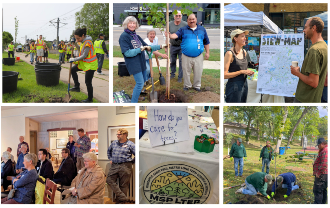 Images from STEW-MAP Twin Cities, MN tree care community outreach.