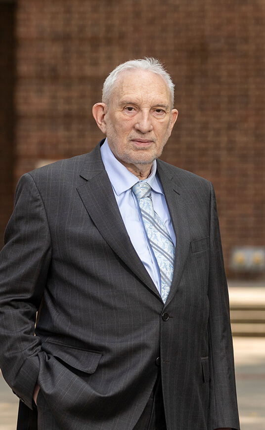 Theodore Raphan - Faculty