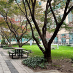 A student sits outside the E-Atrium at LaGuardia Community College. (Photo credit: Mahdi Tanim)