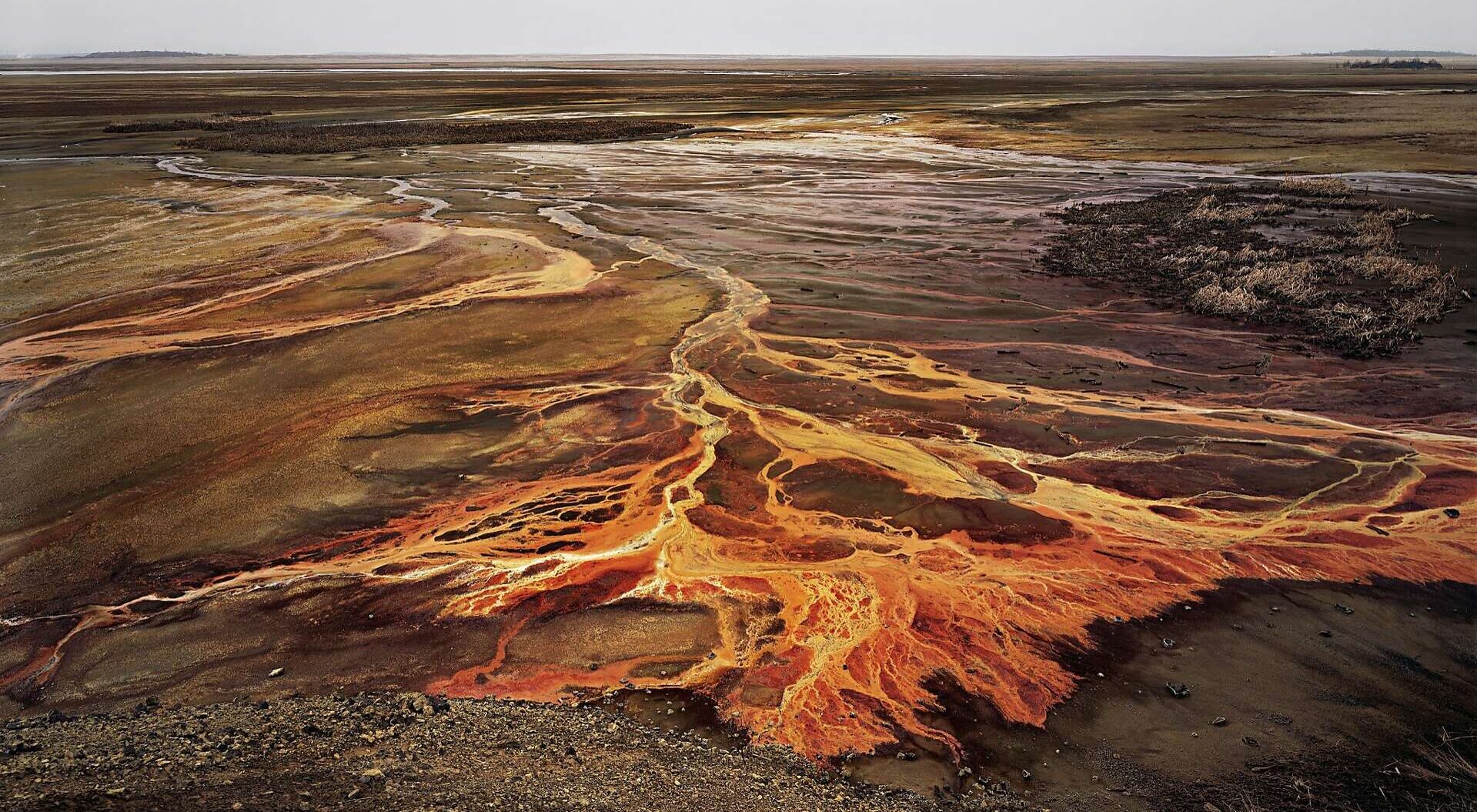 Art in Times of Environmental Crises
